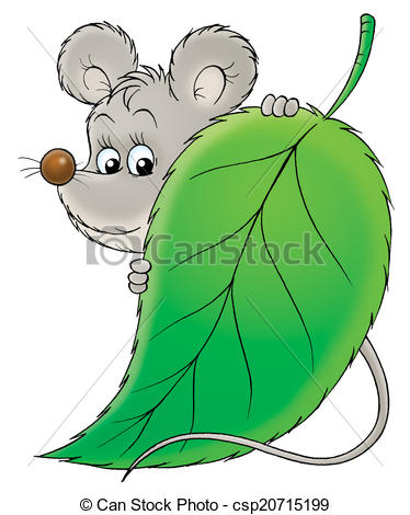 grey mouse